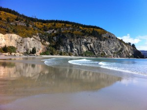 Doctors Point beach